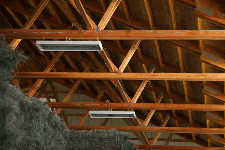 Wooden beams of a barn