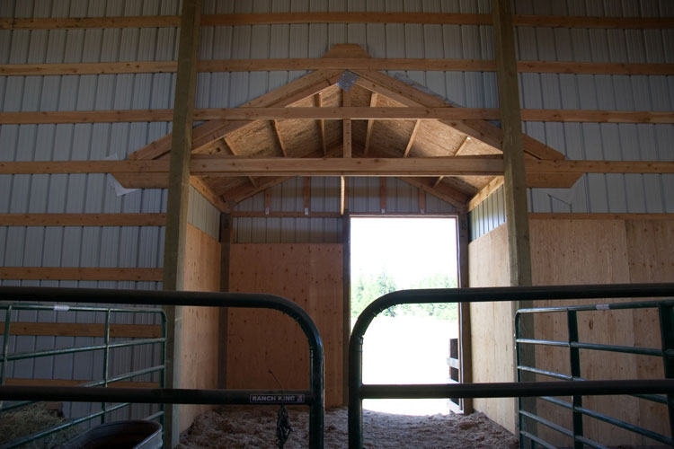 Inside view of a barn enclosure